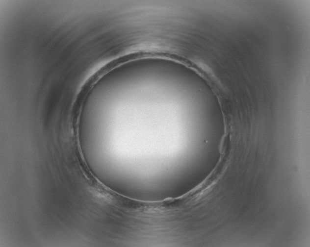 X0000054461070200508121931