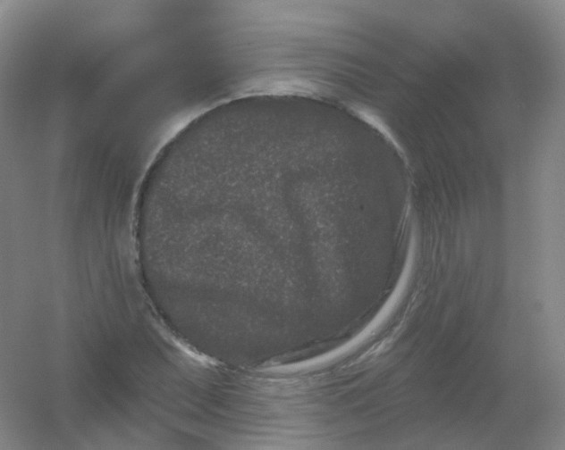 X0000054461071200508121931