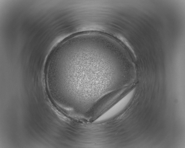 X0000054461072200508121931