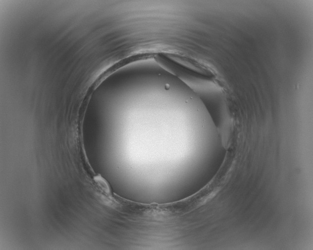 X0000054461073200508121931