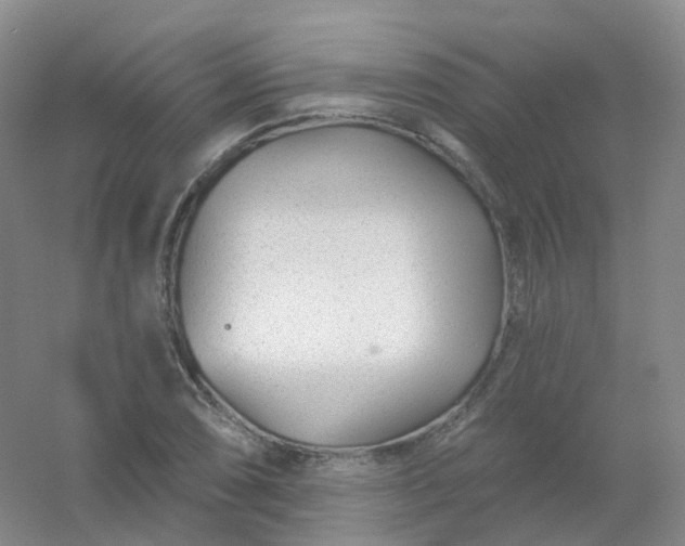 X0000054461074200508121931