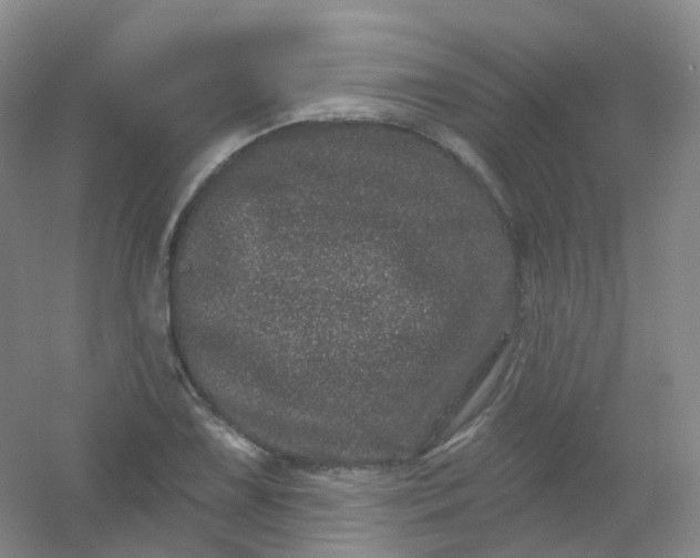 X0000054461075200508121931