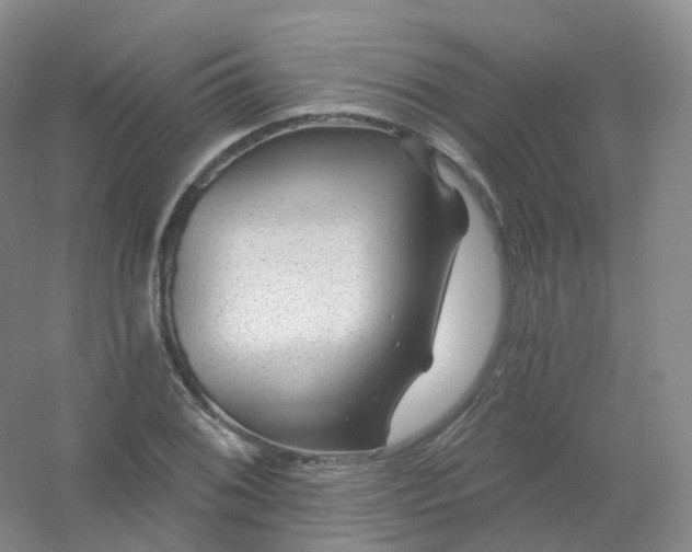 X0000054461076200508121931