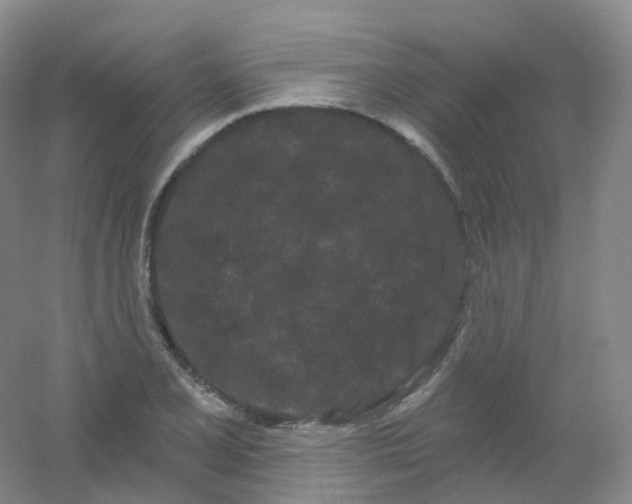 X0000054461077200508121931