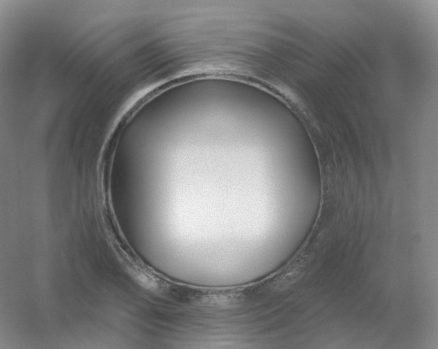 X0000054461078200508121931