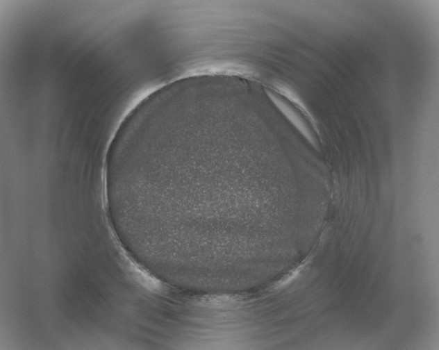 X0000054461079200508121931