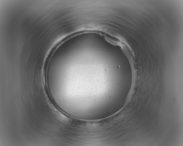 X0000054461080200508121931