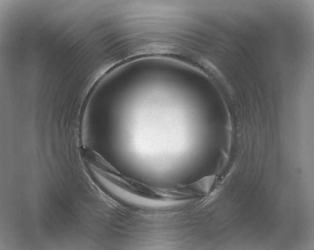 X0000054461081200508121931