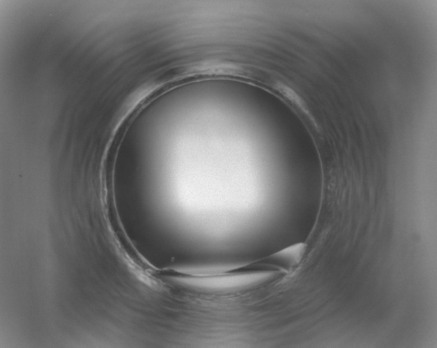 X0000054461082200508121931