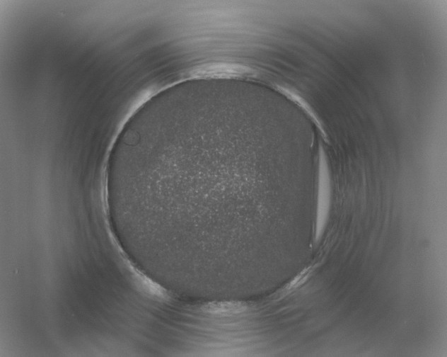 X0000054461083200508121931