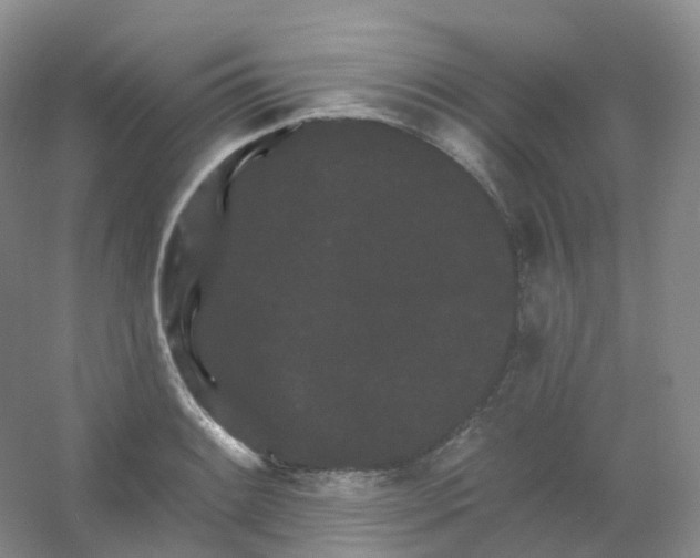 X0000054461084200508121931