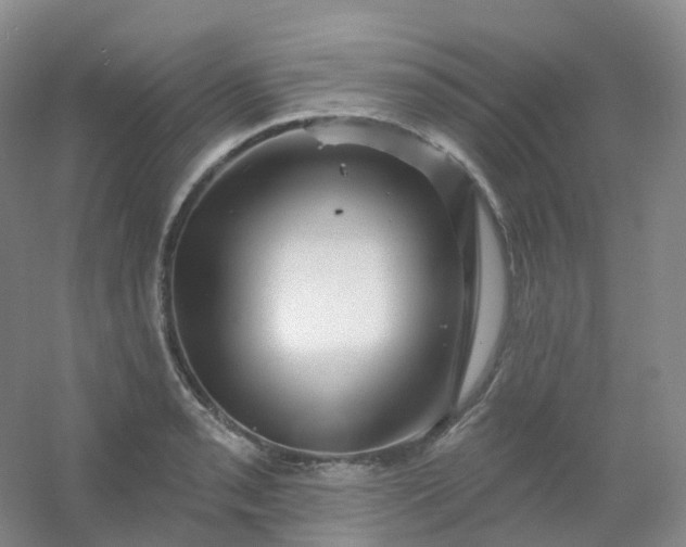 X0000054461085200508121931