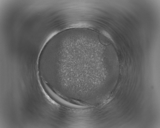 X0000054461087200508121931