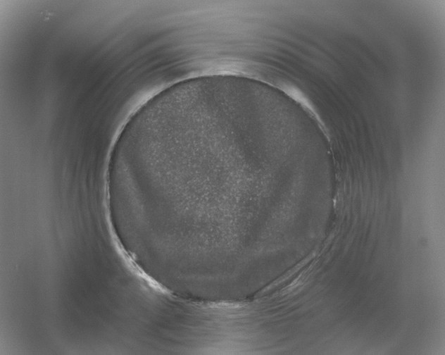 X0000054461088200508121931