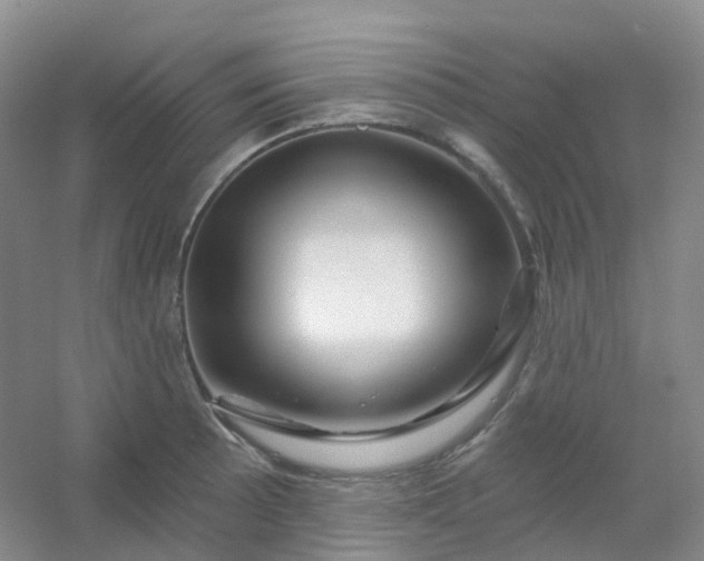 X0000054461089200508121931