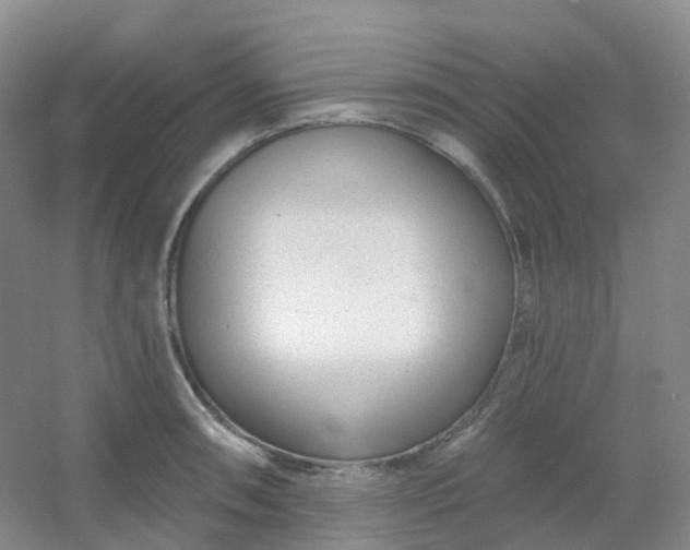 X0000054461090200508121931