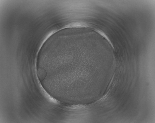 X0000054461091200508121931