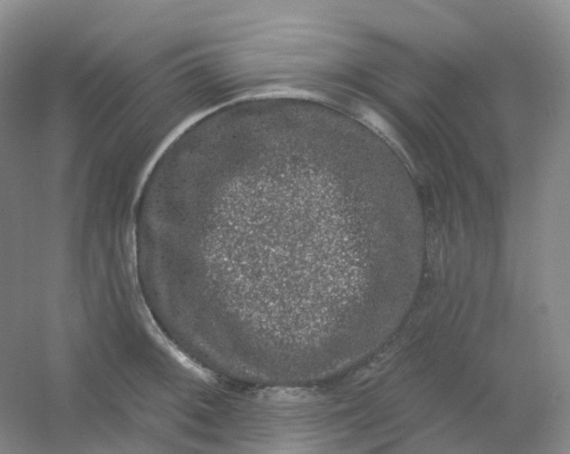 X0000054461092200508121931