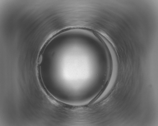 X0000054461093200508121931