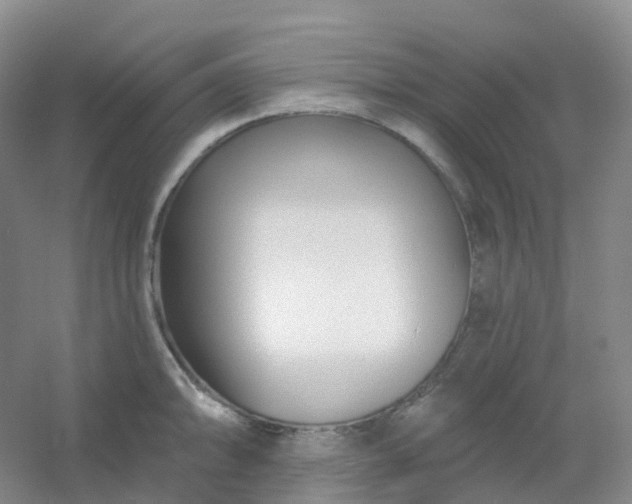 X0000054461094200508121931