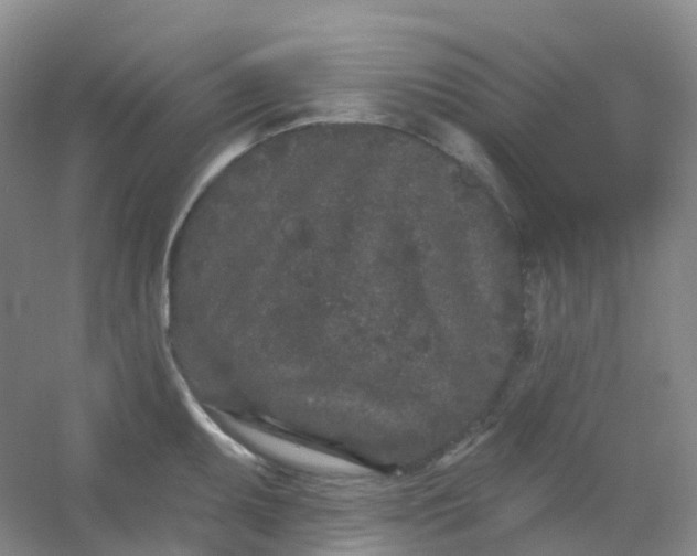 X0000054461095200508121931