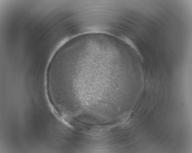 X0000054461096200508121931