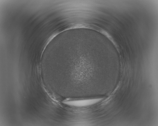 X0000054461097200508121931