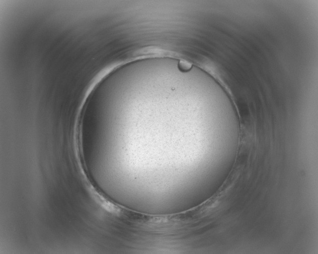 X0000054461098200508121931