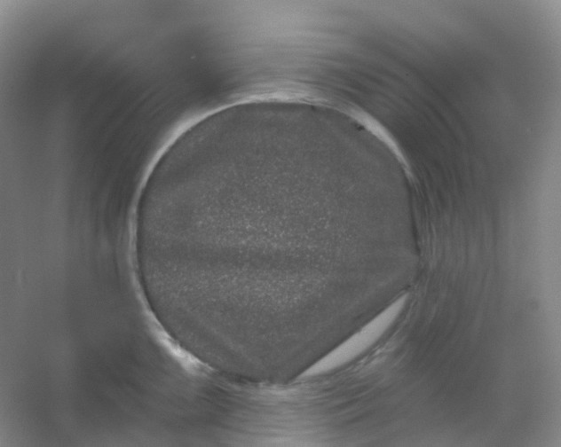 X0000054461099200508121931