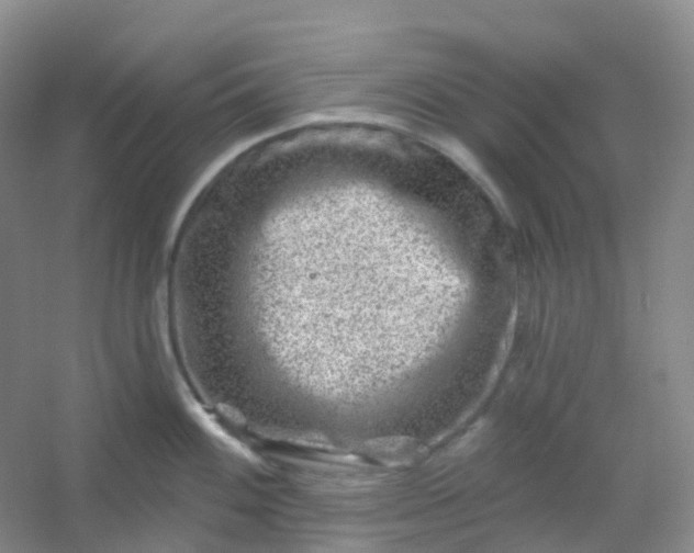 X0000054461100200508121931