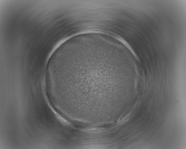 X0000054461101200508121931