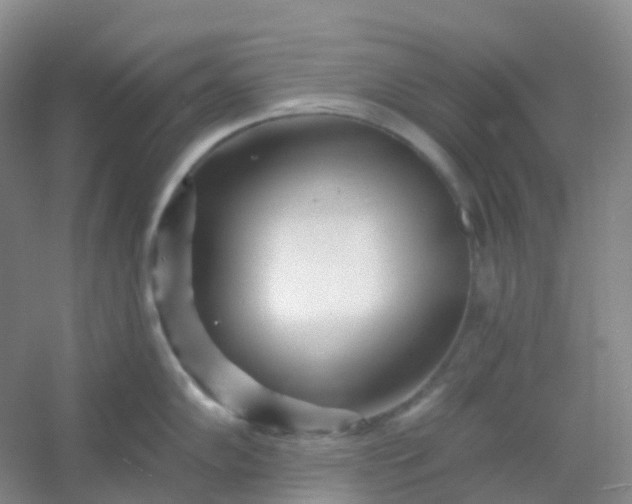 X0000054461102200508121930