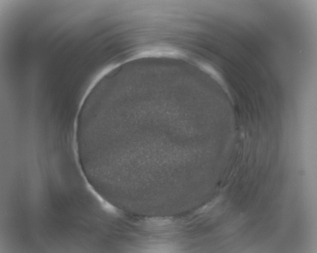 X0000054461103200508121930