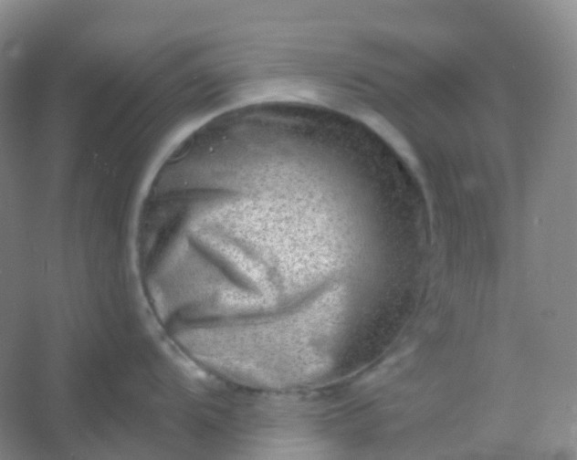 X0000054461104200508121930