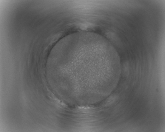 X0000054461105200508121930