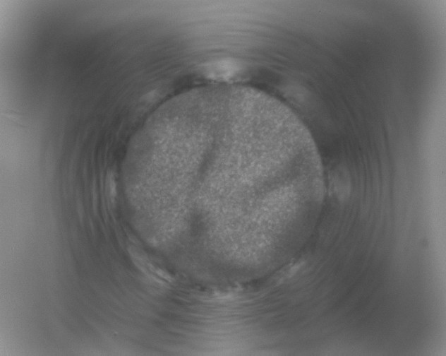 X0000054461106200508121930