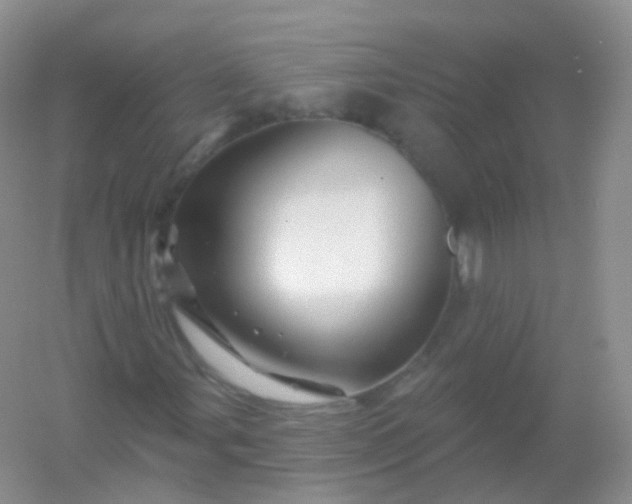 X0000054461107200508121930