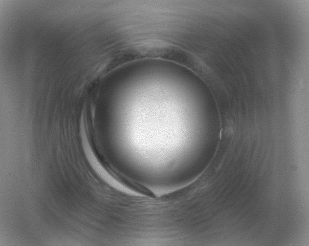 X0000054461108200508121930