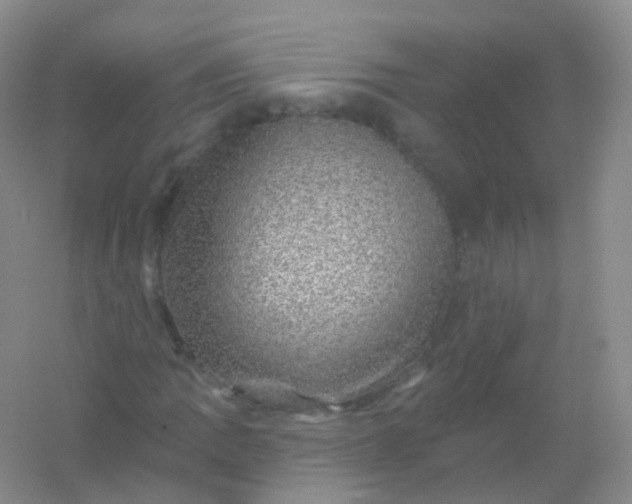 X0000054461109200508121930