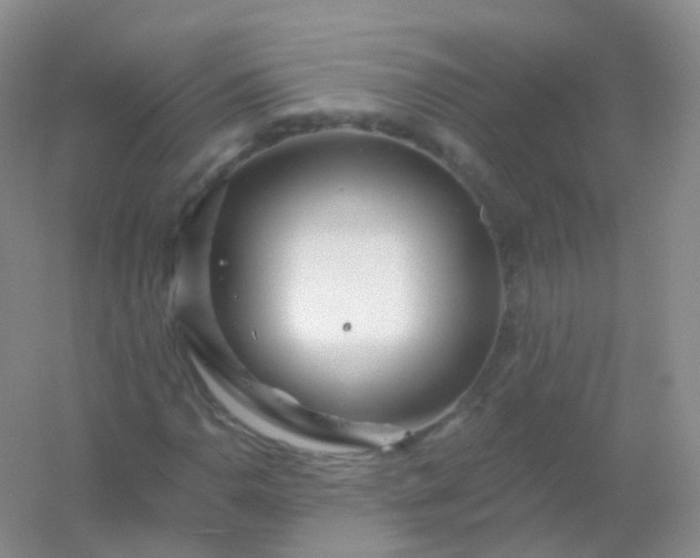 X0000054461110200508121930