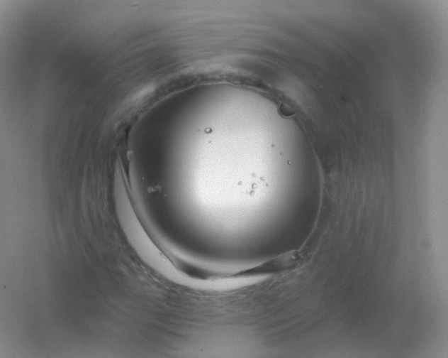 X0000054461111200508121930