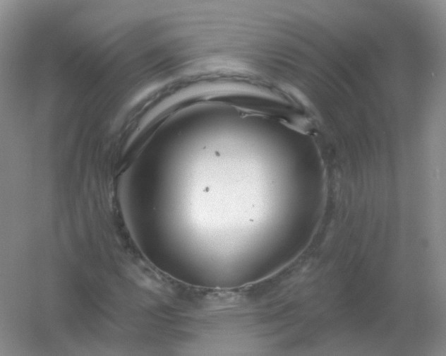 X0000054461112200508121930