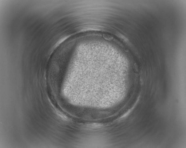 X0000054461113200508121930