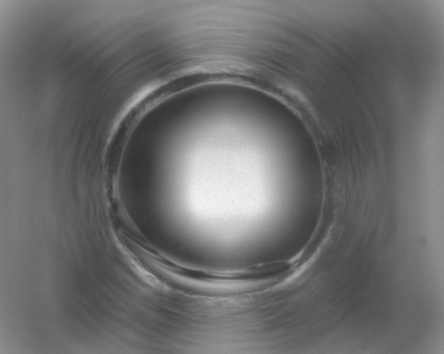 X0000054461114200508121930