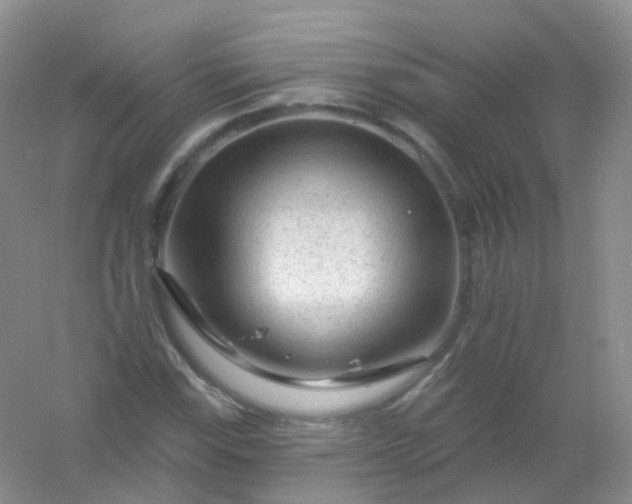 X0000054461115200508121930