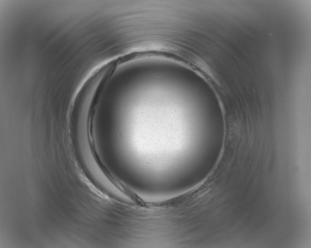 X0000054461116200508121930