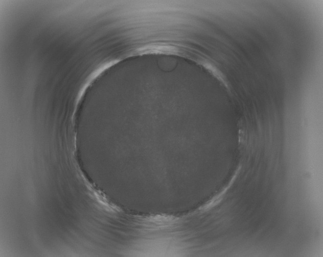 X0000054461117200508121930