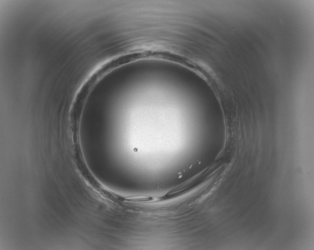 X0000054461118200508121930