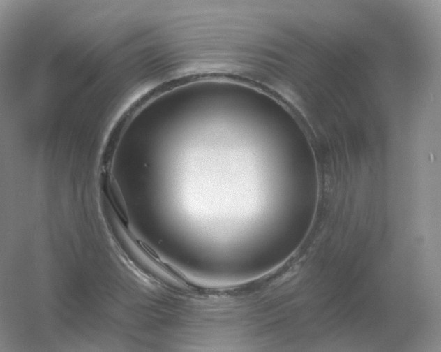 X0000054461119200508121930