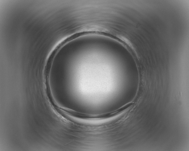 X0000054461120200508121930